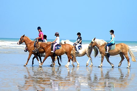camping normandie équitation kamperen normandië rijden