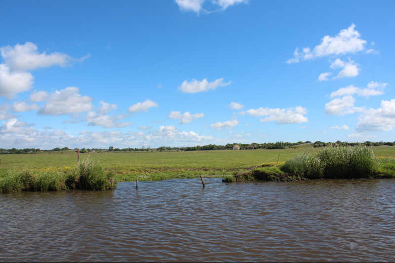 landscape marais cotentin